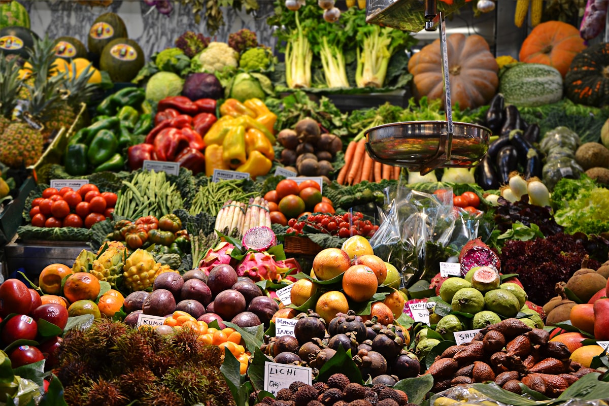Pentingnya Nutrisi Seimbang